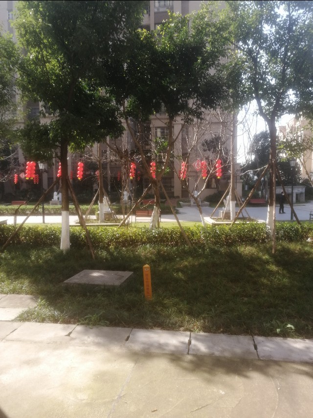 2020年立春是哪一天几点几分,2020年立春时间