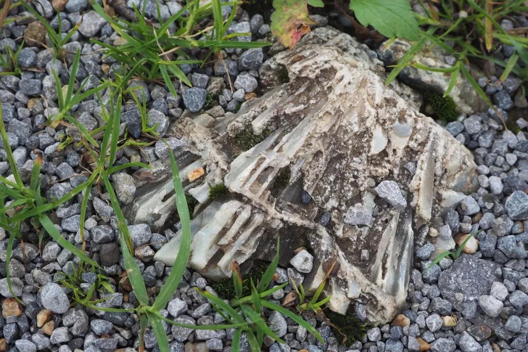 国宝级天然宝石,27种蓝色宝玉石大盘点你认得几种