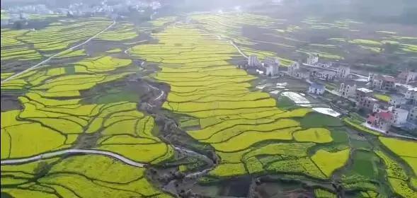 江西省有个莲花县,江西莲花县莲花镇