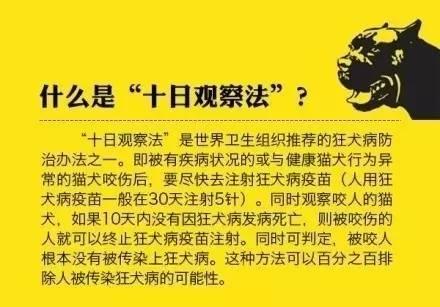 被猫和狗咬伤都需要接种狂犬疫苗?谣言!有两种情况不需要