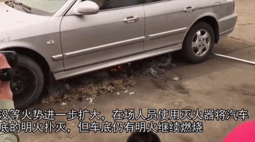 柳絮杨絮导致眼睛过敏鼻子难受,柳絮满天飞过敏流鼻涕