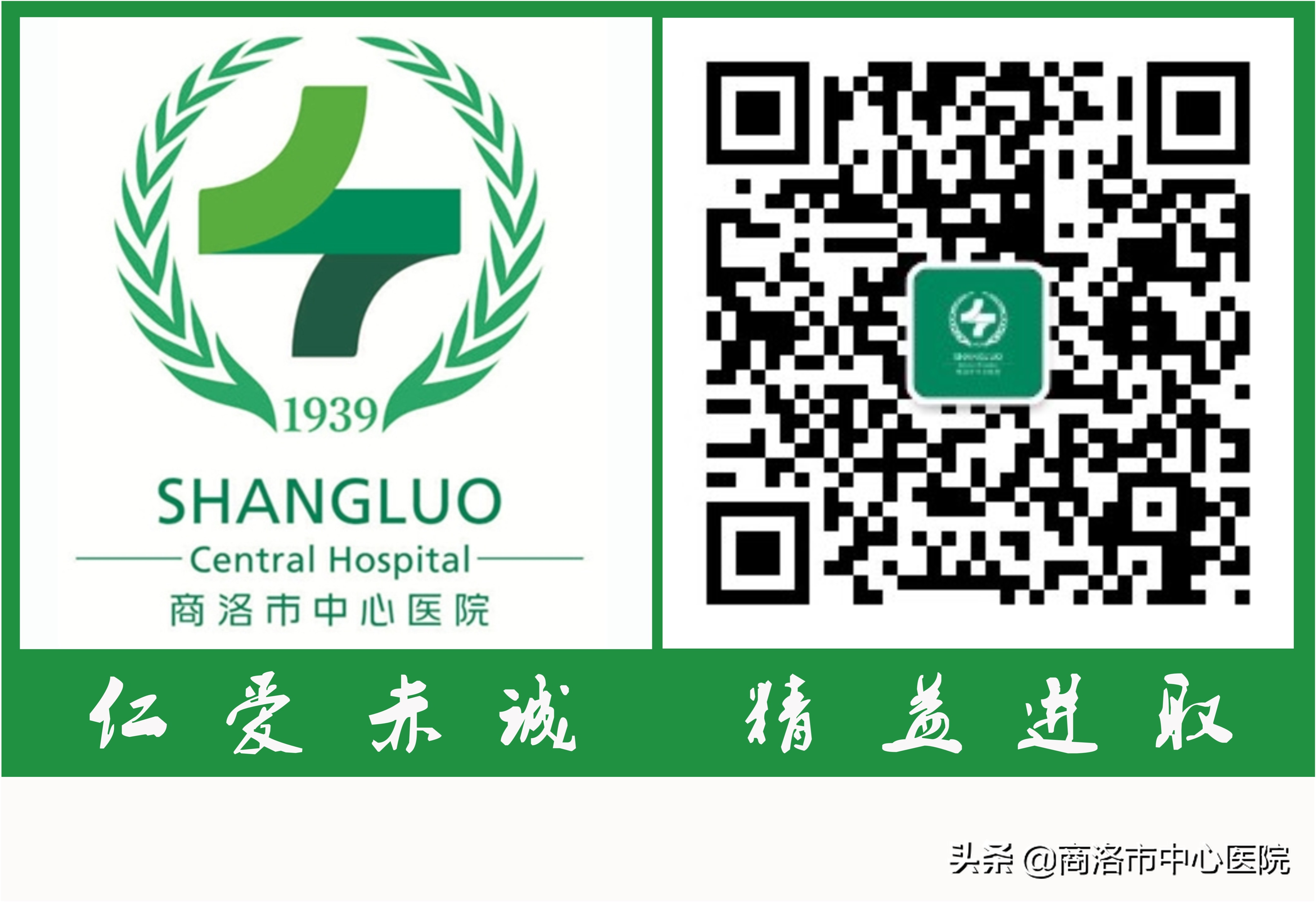 让梦想照亮人生的舞台——记市中心医院妇科主任、商洛市首批有突出贡献拔尖人才何茵芳