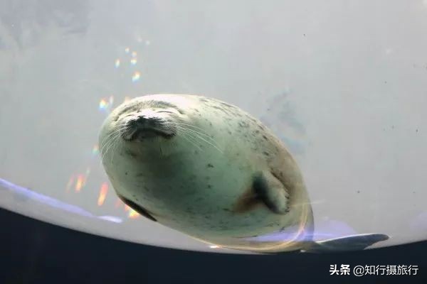 大阪小众景点,去大阪注意事项