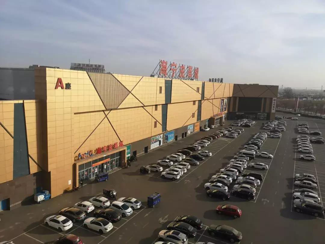 涓滃寳鍐缁濆湴姹傜敓,涓滃寳璨傚煄