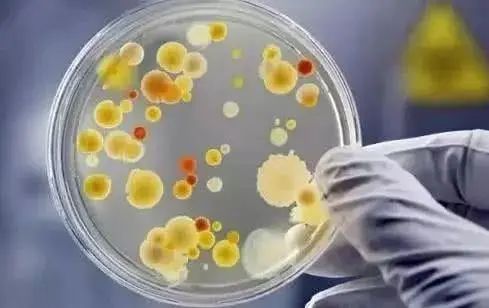 警惕冰箱里的杀手,冰箱内的腐臭味对身体有害吗