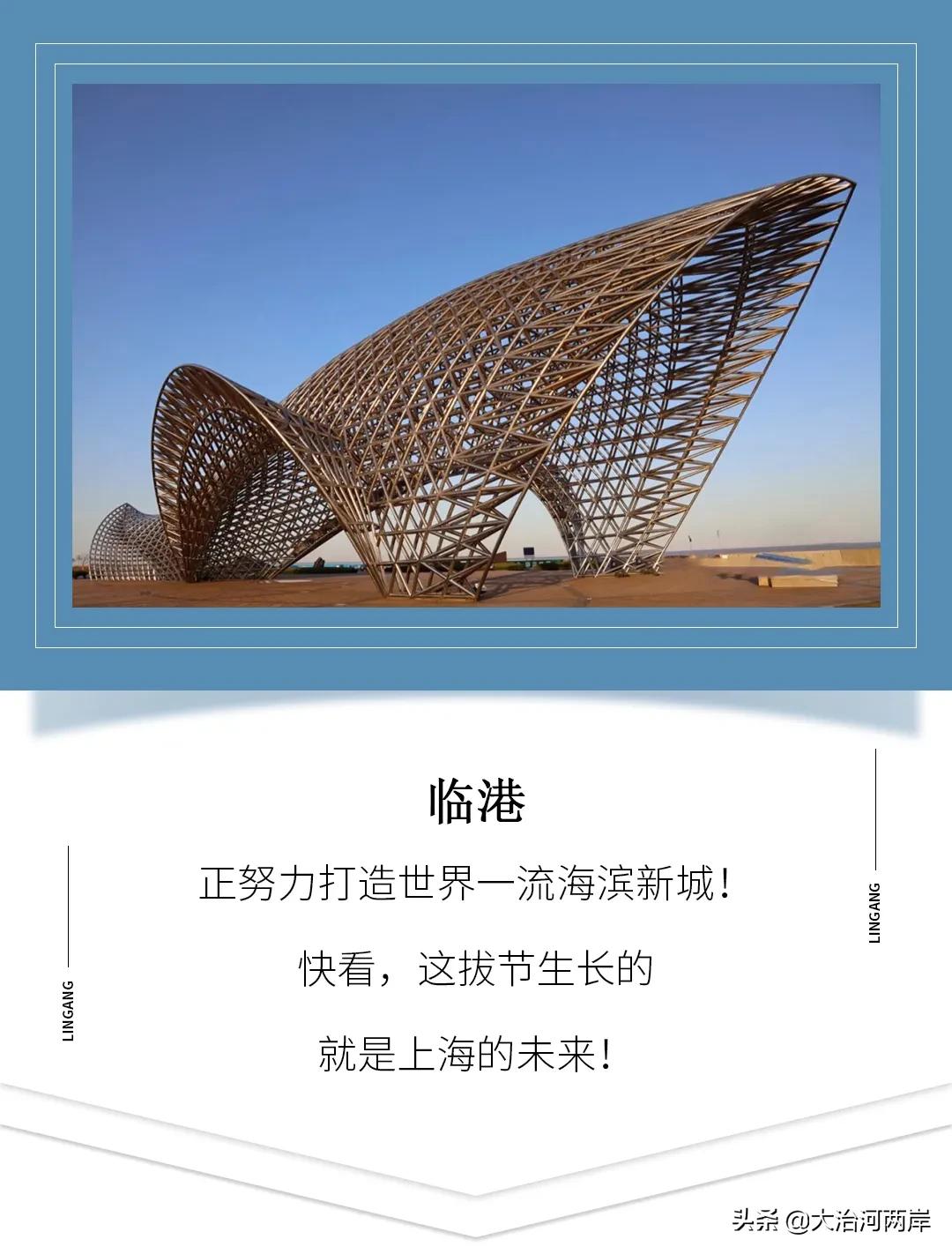 厉害了我的新东方,厉害了我的浦东