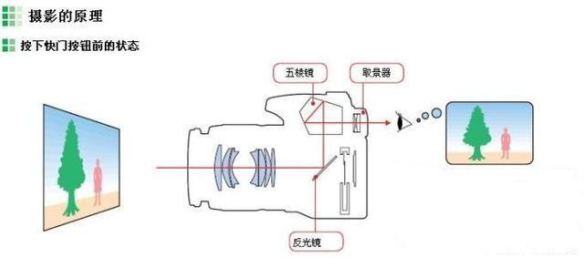 手机拍照用相机好还是微单好,手机拍照效果好还是单反相机好