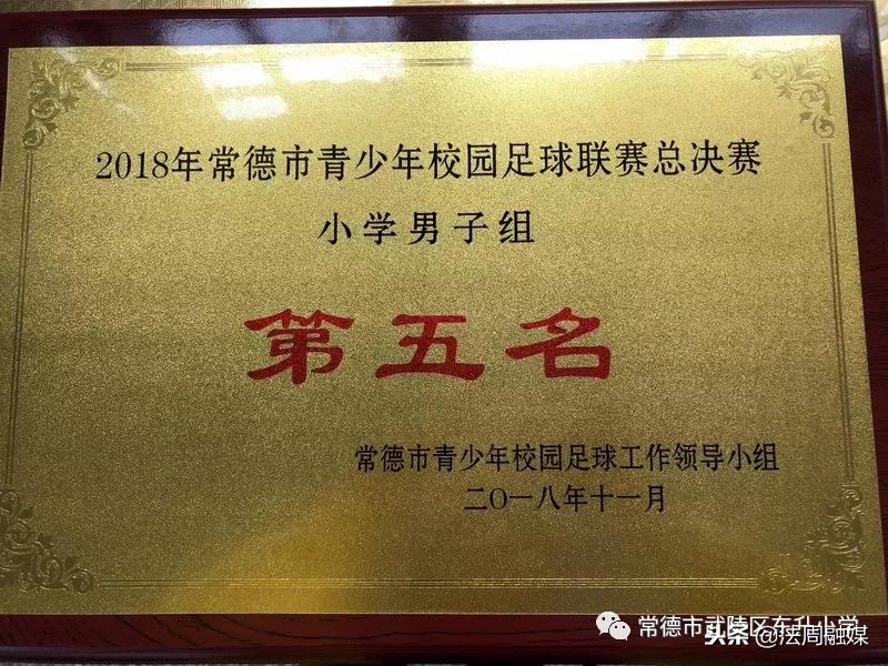 东升小学足球联赛,常德东升小学