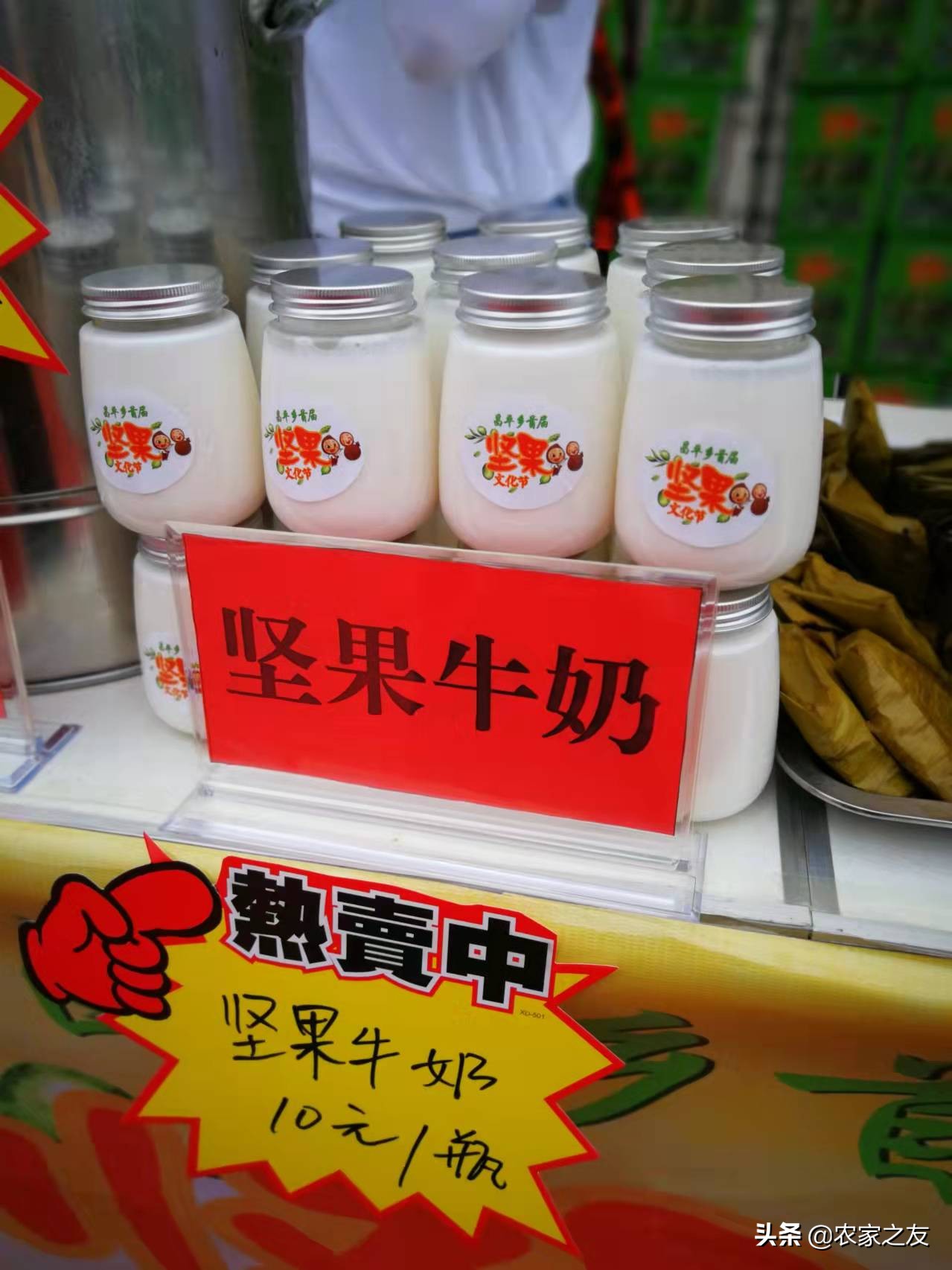 扶绥县昌平坚果苗,扶绥昌平坚果种植基地