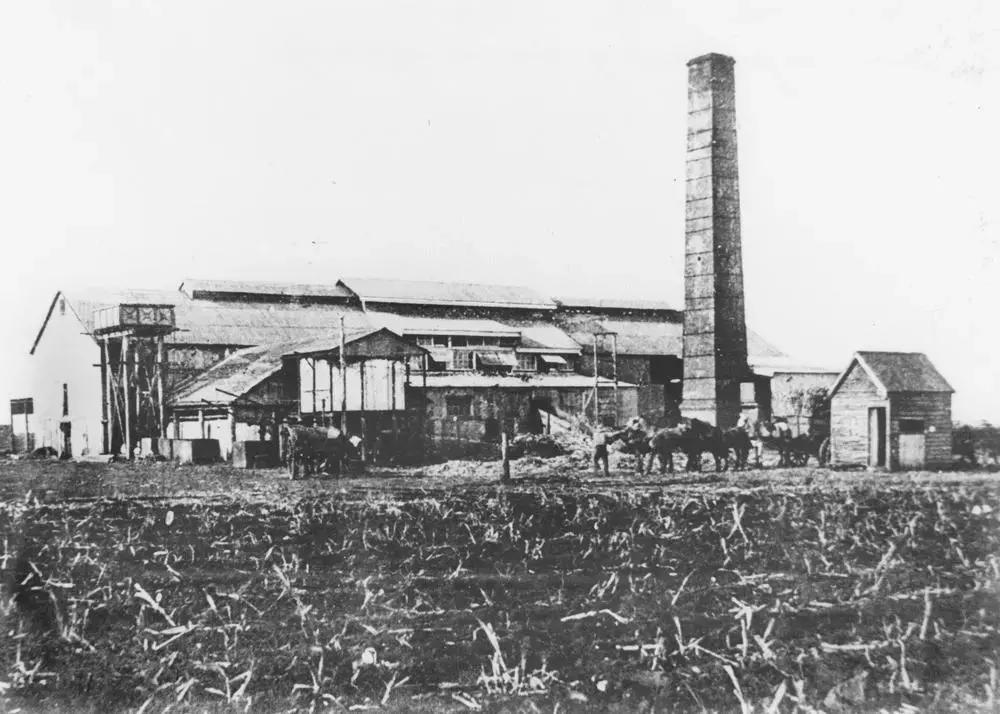 食品工业的历史,食品工业葡萄糖