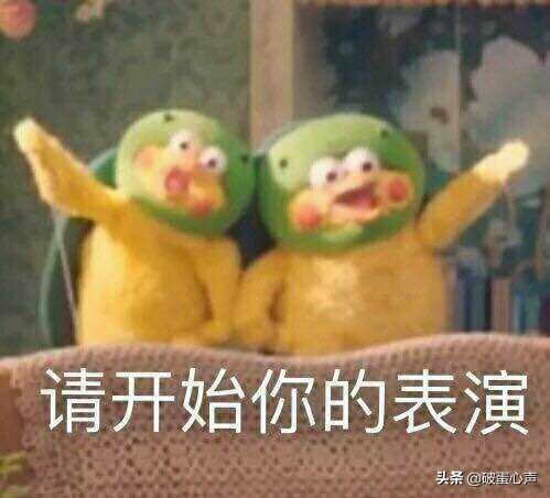 鹦鹉喂养的诀窍是什么,如何给鹦鹉鸟食物喂养好