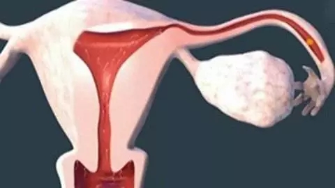 小蝌蚪历险记作文,小蝌蚪历险记300字