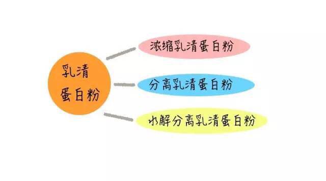 你的蛋白质补充够了吗,你的蛋白质补够了吗