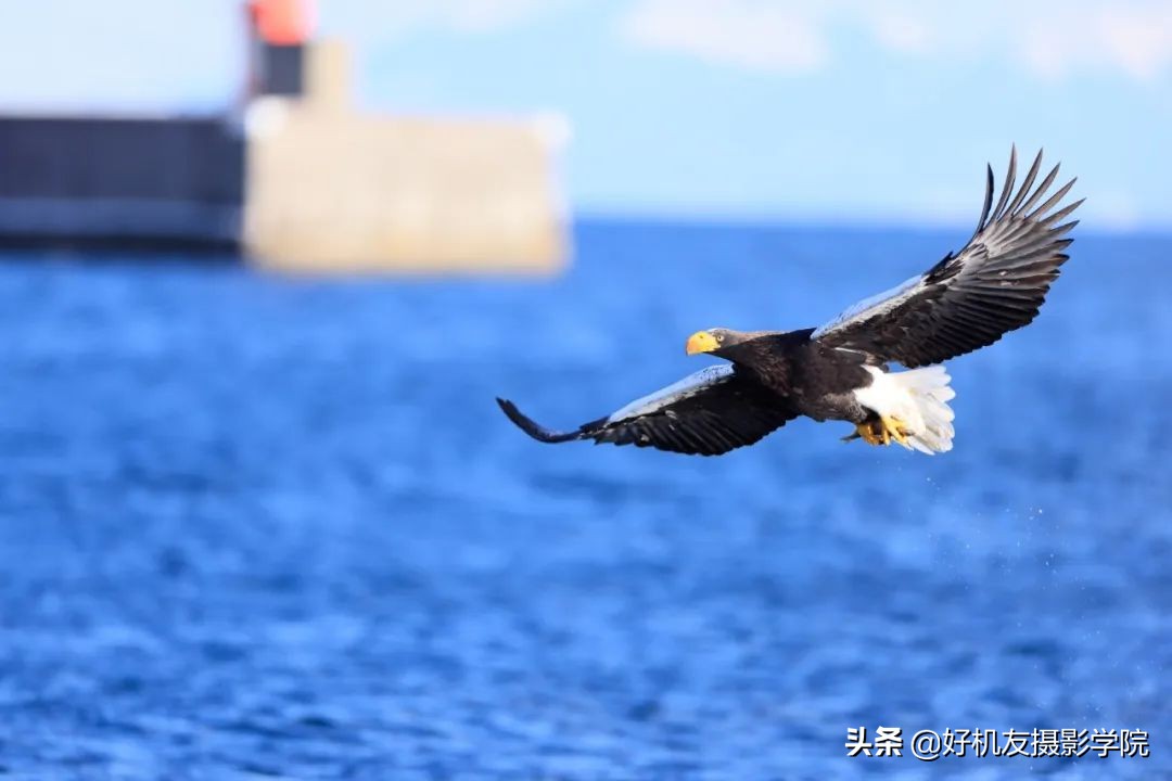 索尼全画幅适马和腾龙怎么选,腾龙和适马镜头哪个适合索尼微单