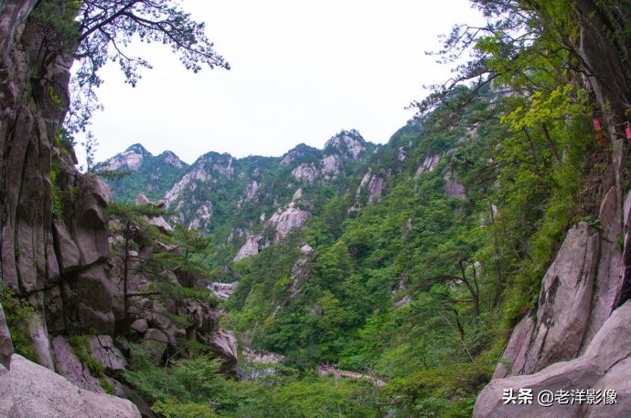 藏龙大别山度假酒店,罗田天堂寨藏龙大酒店价格