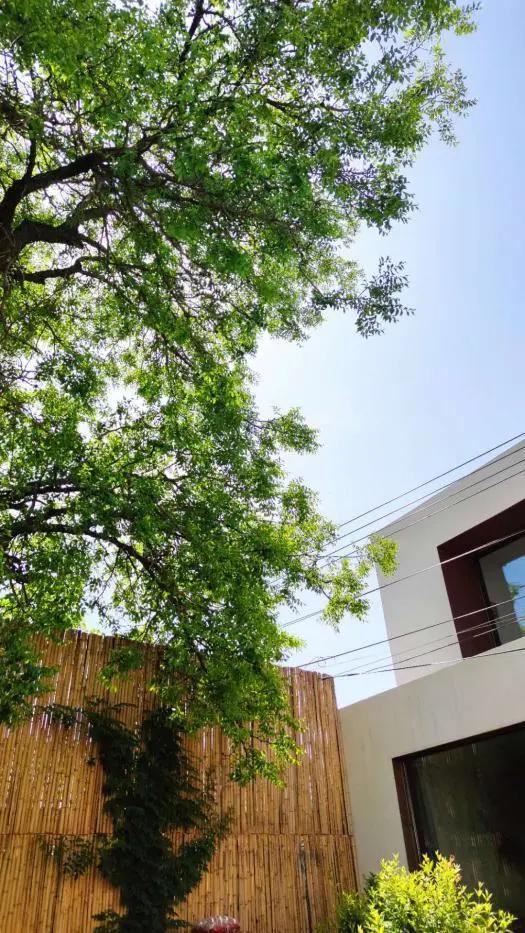 隐居在深山老林的艺术家,隐居深山的民间艺术家