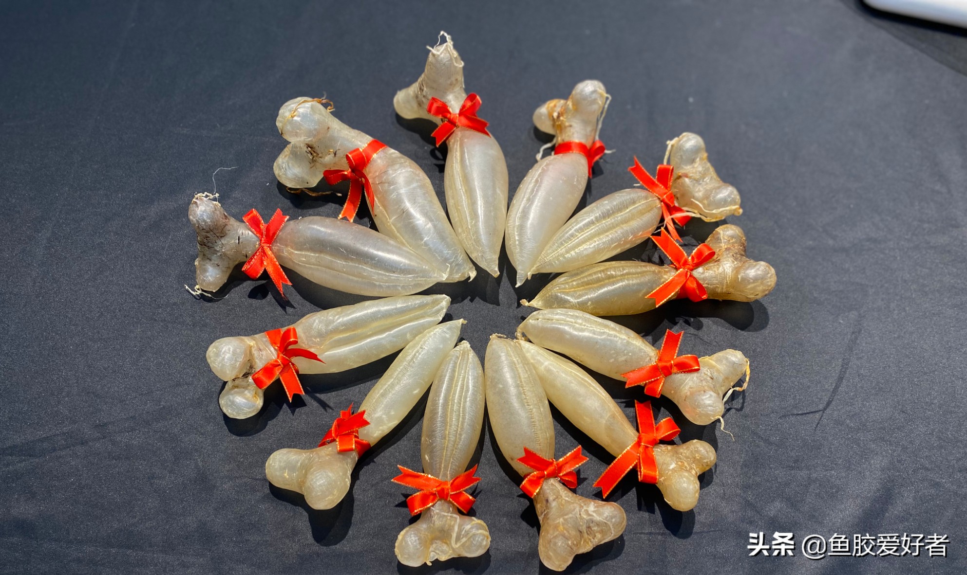 新手买鱼胶买什么好,网上买鱼胶要注意什么