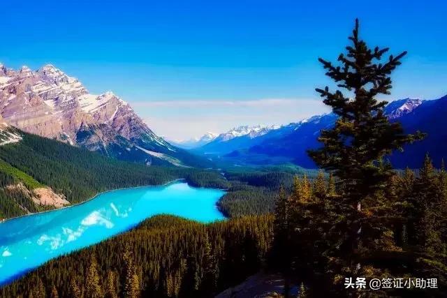 护照过期换发日本签证,护照过期重新换发需要重新拍照吗