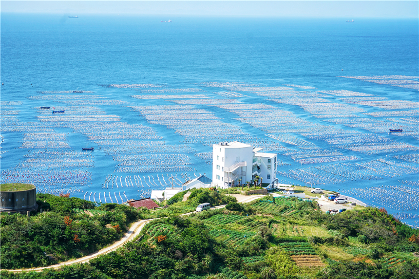 嵊泗美食推荐攻略,嵊泗列岛旅游攻略美食