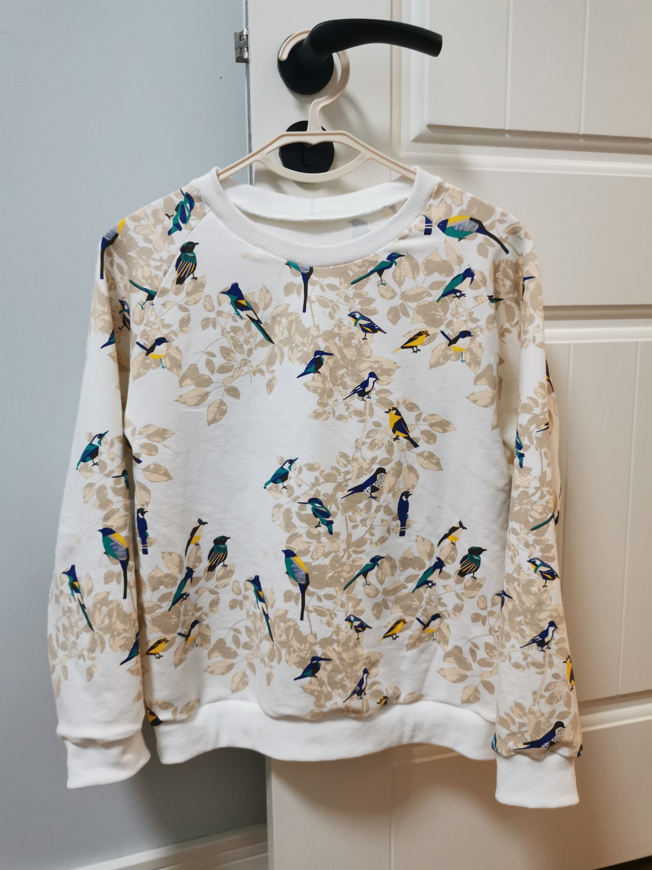 正式入坑的正确方式,正式入坑