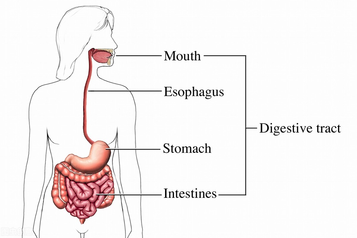 胃痛是不是得了冠心病,一天到晚胸痛是冠心病吗