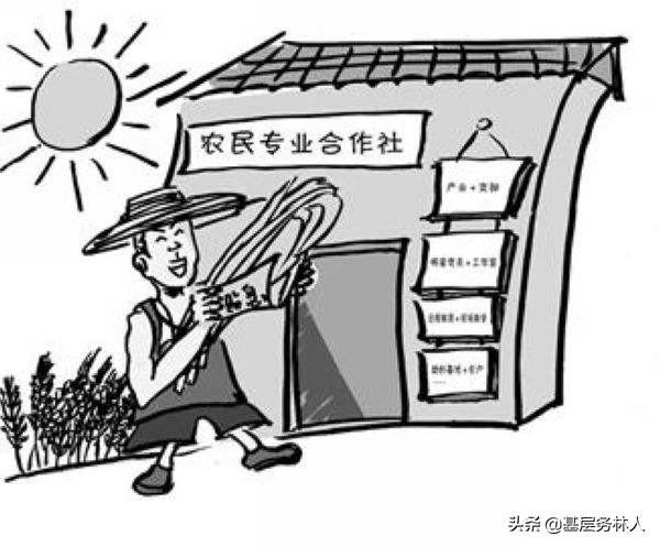 林业专业合作社经营范围,林业合作社申请条件