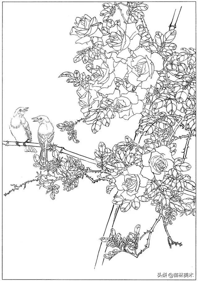 现代国画工笔花鸟白描及完整版,路雨年工笔白描花鸟团扇高清图片