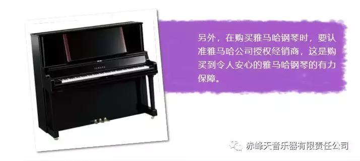 如何买到一辆进口的雅马哈,如何买到雅马哈正品乐器