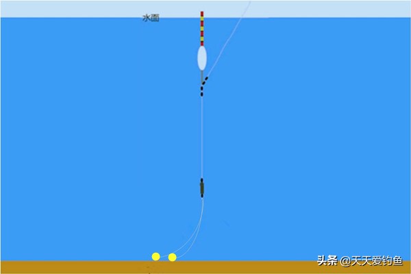 黑坑拉饵调漂的正确方法与技巧,蚯蚓拉饵调漂的正确方法与技巧