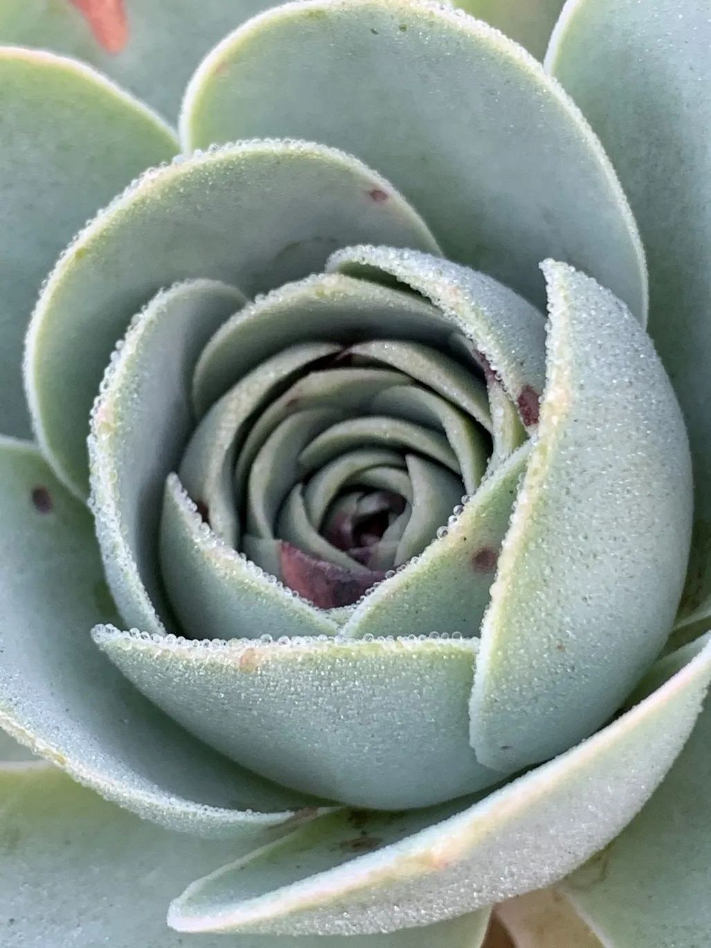 禁足的日子收获颇多,禁足