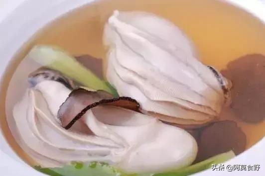 世界上最好看的可食用菌菇,世界最好吃的菌菇排名