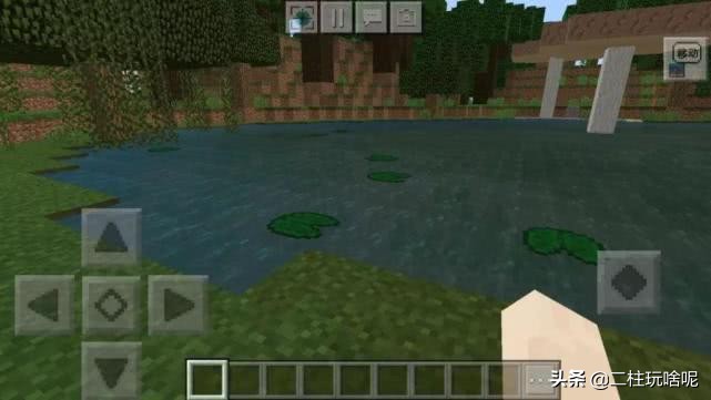 十大珍稀植物排行榜,中国十大珍稀植物排名