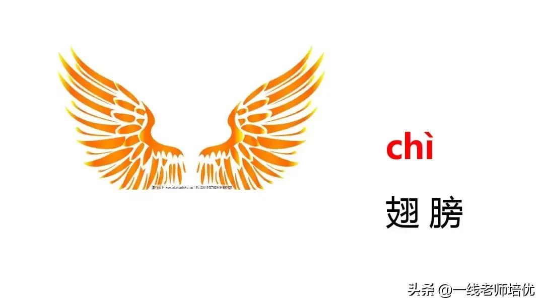 小学汉语拼音整体认读音节,小学汉语拼音整体认读音节视频