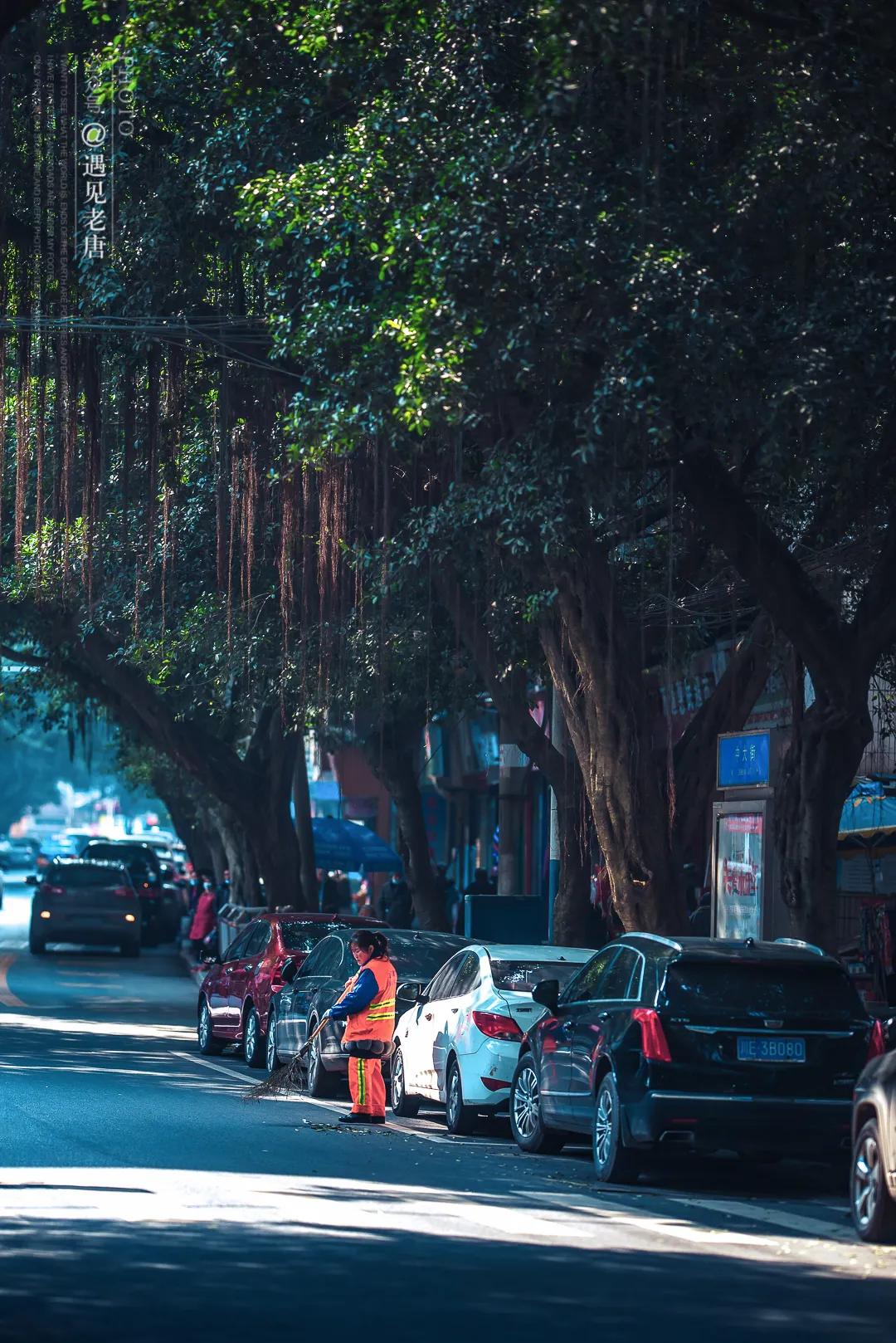 老泸州的回忆,泸州小市老城区