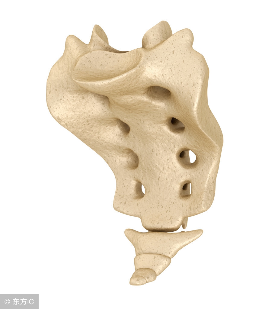 产后尾骨痛怎么办?这5个简单的动作,让疼痛消失、臀部上翘紧致