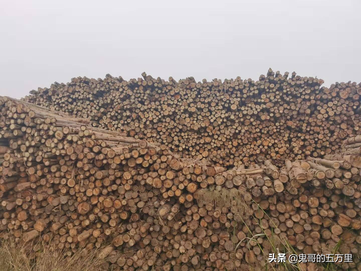 鬼哥的五万里D100骑记:100天了(永平镇-临沧市临翔区)