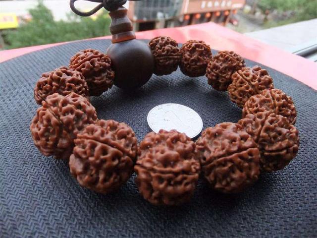 老玩家玩出来的小金刚菩提,老玩家都未必懂的新手攻略