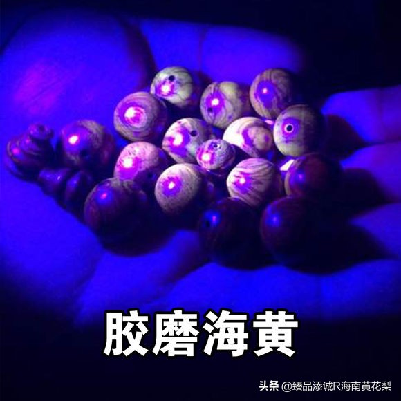 海南黄花梨坑人视频,黑心海南黄花梨