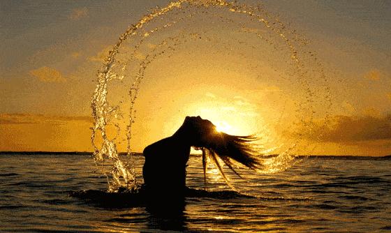 关于“道”的绝密信息,有缘人可见