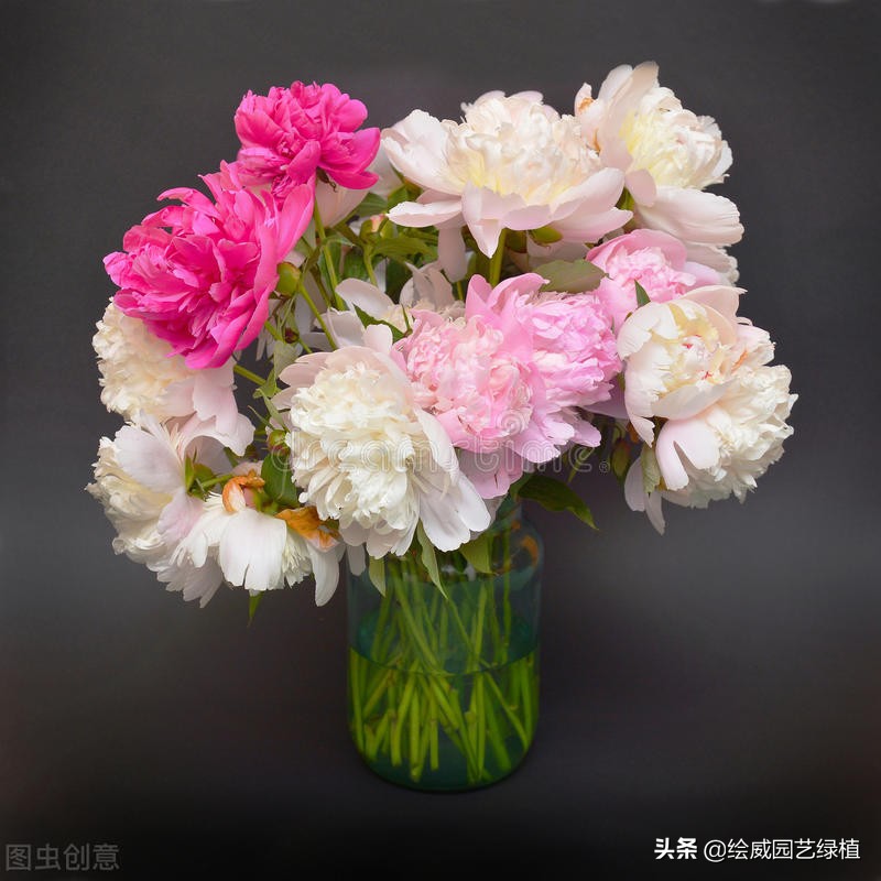 母亲节快到了送个鲜花送给妈妈,母亲节快到了送个东西送给妈妈