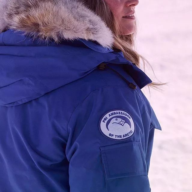 波司登和加拿大鹅比较测试,加拿大鹅vs波司登羽绒服