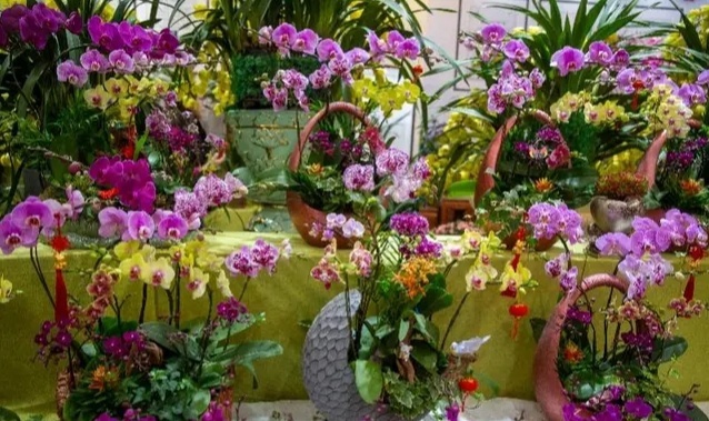 1995年广州芳村石围塘花市,芳村最好看的花市