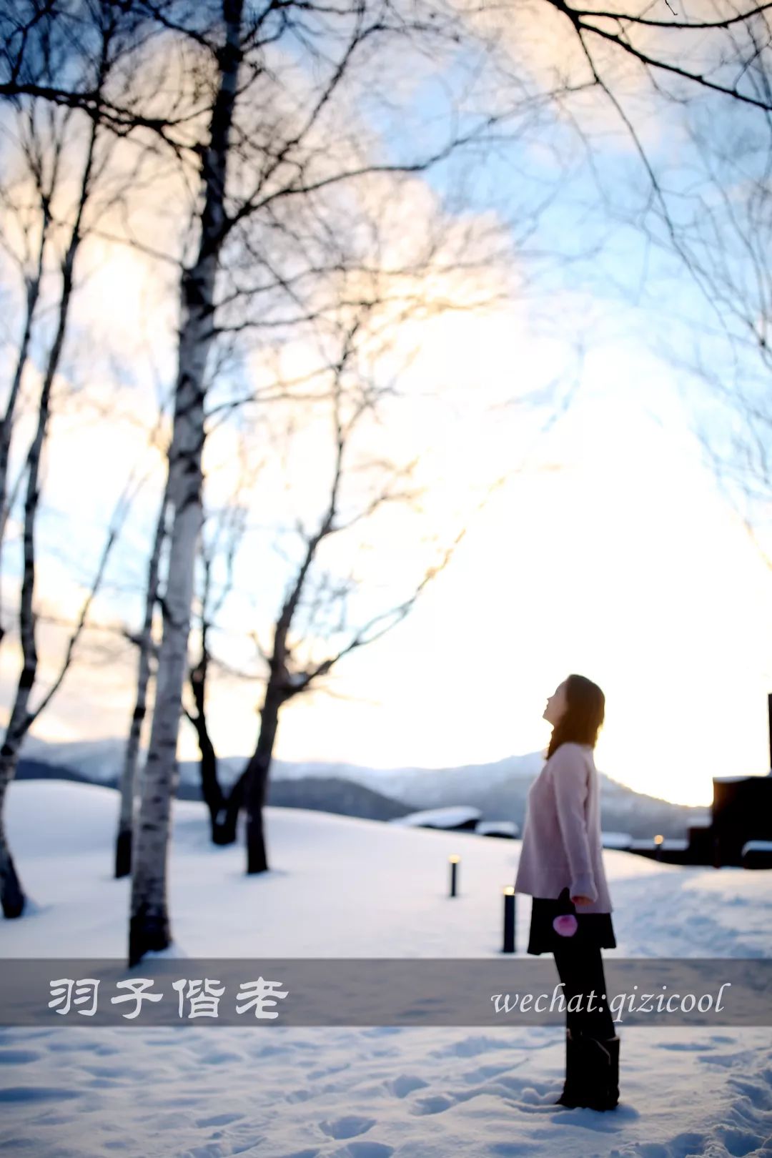 老实说，这一趟北海道就是为了拍好看的照片去的