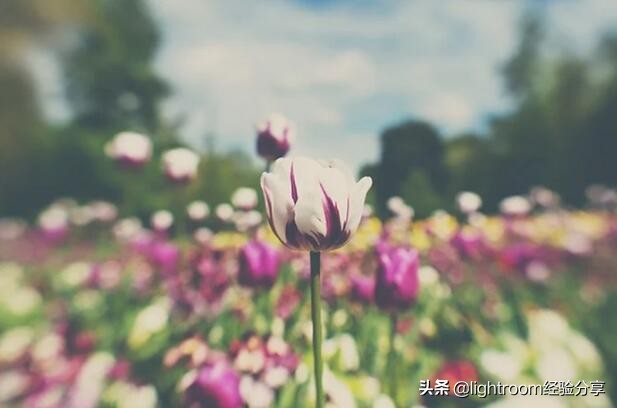 聚焦拍摄怎么弄,选择性聚焦电影片段