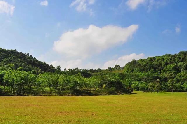 深圳免费公园哪里最好啊,深圳十大免费公园景点大全