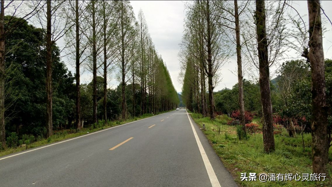 徒步第76天，做主播到现在有些粉丝不喜欢给我刷网上的礼物