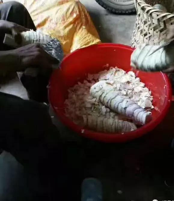 顺昌县一日游,顺昌本地有一日游的吗