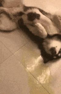 生理学排便机制,生理学尿的生成和排出