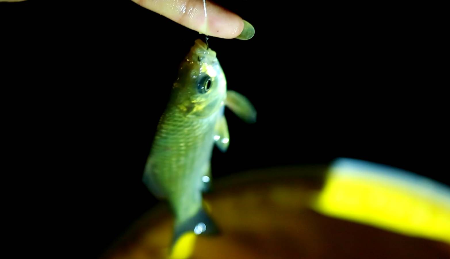 如何判断漂相最准确,上鱼的10种漂相图解