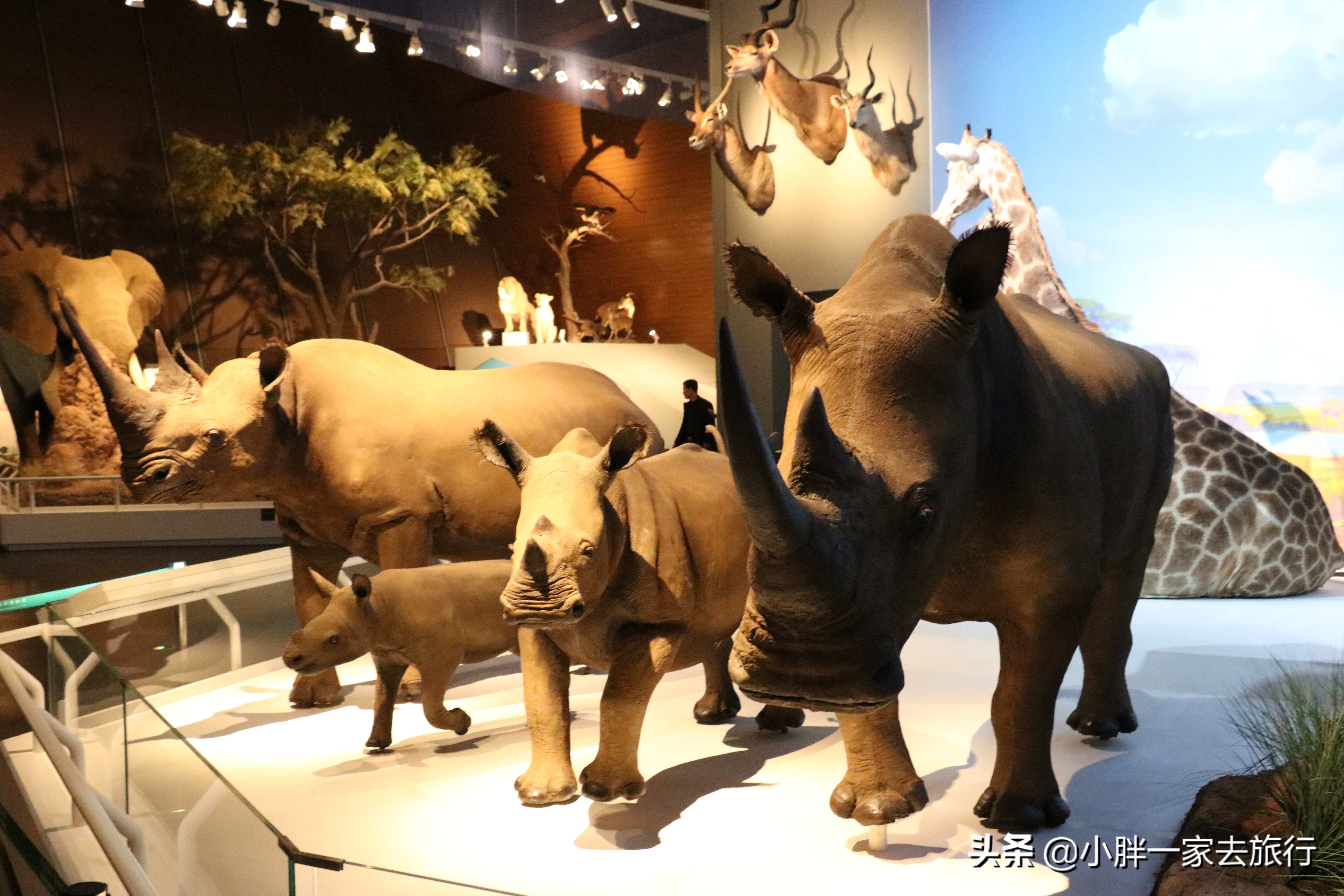 最大的北京海洋博物馆,海上故宫国家海洋博物馆